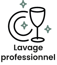 lavage professionnel lavage professionnel